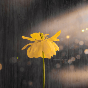 泰国军人体检视频播放大全
